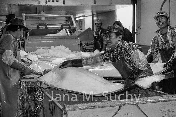 Ws_WebfishBW-05260014