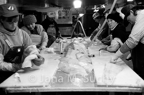 Ws_WebfishBW-05260018