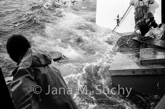 Ws_WebfishBW-94800002