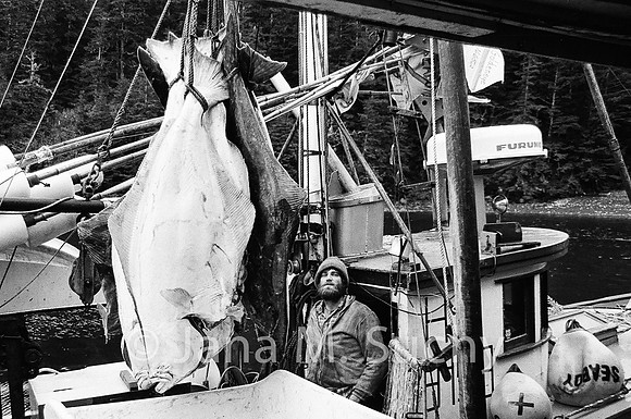 Ws_WebfishBW-03570030