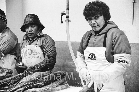 Ws_WebfishBW-02910029